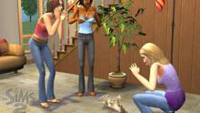 Imagen 62 de Los Sims 2 Mascotas