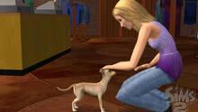 Imagen 72 de Los Sims 2 Mascotas
