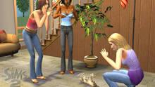 Imagen 71 de Los Sims 2 Mascotas