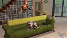 Imagen 17 de Los Sims 2 Mascotas