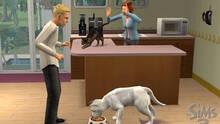 Imagen 19 de Los Sims 2 Mascotas
