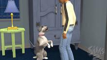 Imagen 57 de Los Sims 2 Mascotas