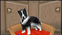 Imagen 50 de Los Sims 2 Mascotas