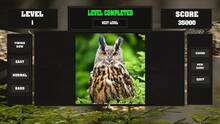 Imagen 4 de Fitzzle Wise Owls