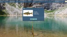 Imagen 5 de Truefish
