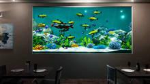 Imagen 6 de Aquarium Designer