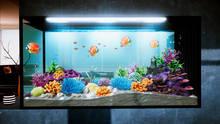 Imagen 10 de Aquarium Designer
