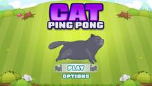 Imagen 4 de Cat Ping Pong