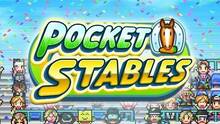 Imagen 12 de Pocket Stables