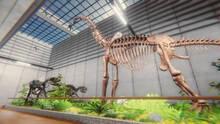 Imagen 20 de Dinosaur Fossil Hunter