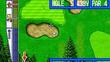 Imagen 10 de NeoGeo Top Player's Golf