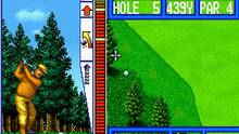 Imagen 11 de NeoGeo Top Player's Golf