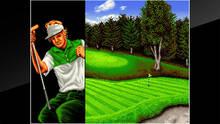 Imagen 13 de NeoGeo Top Player's Golf
