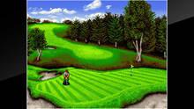 Imagen 23 de NeoGeo Top Player's Golf