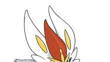 Imagen 304 de Pokémon Espada y Escudo
