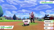 Imagen 164 de Pokémon Espada y Escudo