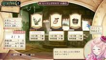 Imagen 22 de Atelier Rorona: The Alchemist of Arland DX