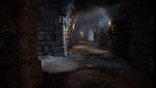 Imagen 53 de The Bard's Tale IV