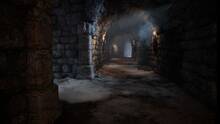 Imagen 41 de The Bard's Tale IV