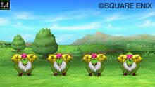 Imagen 59 de Dragon Quest IX: Centinelas del firmamento