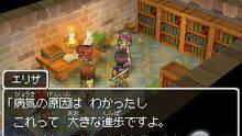 Imagen 130 de Dragon Quest IX: Centinelas del firmamento