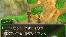 Imagen 138 de Dragon Quest IX: Centinelas del firmamento