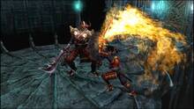 Imagen 48 de Onimusha: Warlords