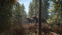 Imagen 5 de theHunter: Call of the Wild 2019 Edition
