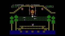Imagen 10 de Donkey Kong 3 CV