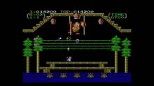 Imagen 11 de Donkey Kong 3 CV