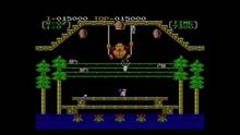 Imagen 12 de Donkey Kong 3 CV