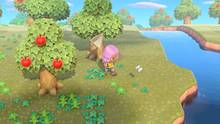 Imagen 37 de Animal Crossing: New Horizons