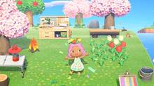 Imagen 38 de Animal Crossing: New Horizons