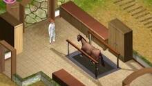 Imagen 3 de Horse Vet 3D eShop
