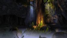 Imagen 10 de Guild Wars: Eye Of The North