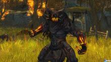 Imagen 20 de Guild Wars 2