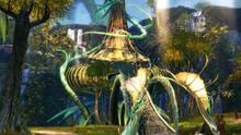 Imagen 28 de Guild Wars 2