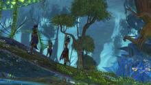 Imagen 25 de Guild Wars 2