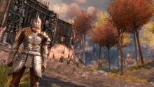 Imagen 80 de Guild Wars 2