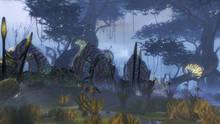 Imagen 173 de Guild Wars 2