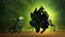 Imagen 476 de Guild Wars 2