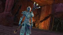 Imagen 473 de Guild Wars 2