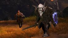 Imagen 338 de Guild Wars 2