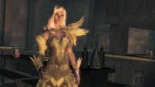 Imagen 317 de Guild Wars 2