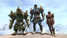 Imagen 357 de Guild Wars 2
