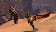 Imagen 415 de Guild Wars 2