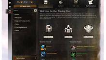 Imagen 461 de Guild Wars 2