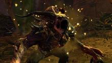 Imagen 497 de Guild Wars 2
