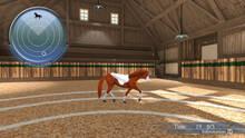 Imagen 8 de My Riding Stables