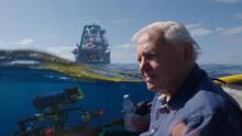 Imagen 2 de Buceo en la gran barrera de coral de David Attenborough